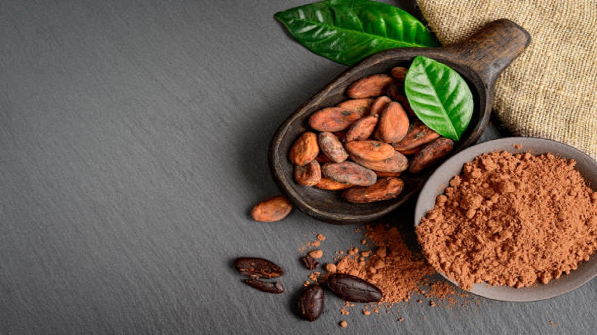 Natural and Alkalized Cocoa Powder in Pakistan